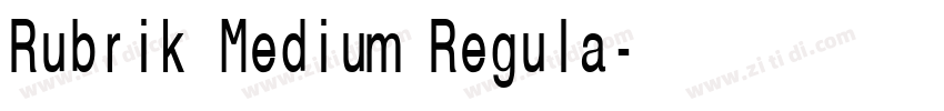 Rubrik Medium Regula字体转换